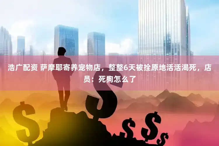 浩广配资 萨摩耶寄养宠物店，整整6天被拴原地活活渴死，店员：死狗怎么了