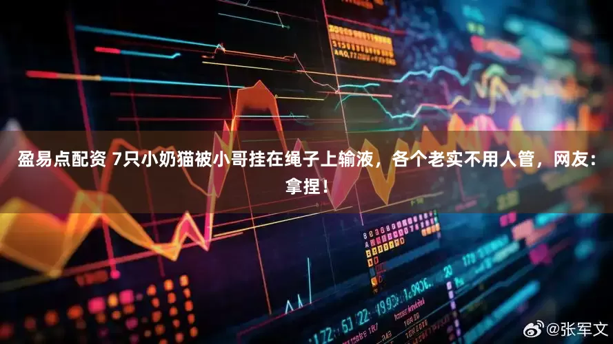 盈易点配资 7只小奶猫被小哥挂在绳子上输液，各个老实不用人管，网友：拿捏！
