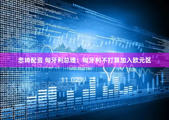 忠琦配资 匈牙利总理：匈牙利不打算加入欧元区