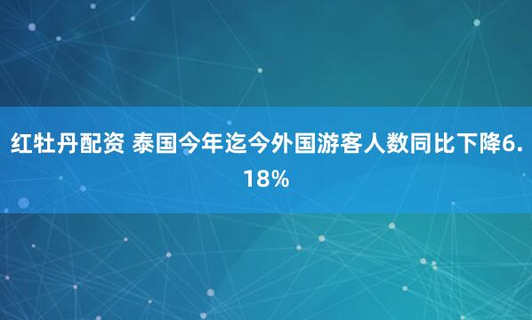 红牡丹配资 泰国今年迄今外国游客人数同比下降6.18%