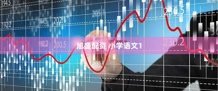 旭盛配资 小学语文1